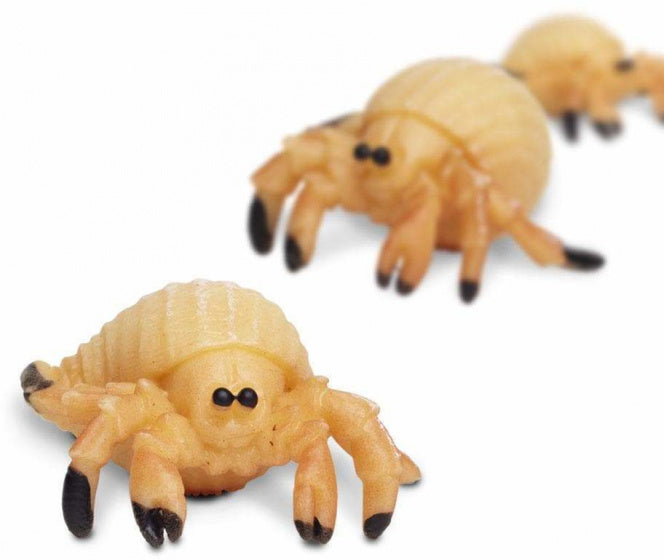 Safari Heremietkreefta Set 2,5 cm 192-teilig
